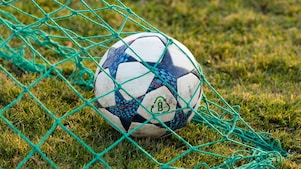 Veotbal in een net