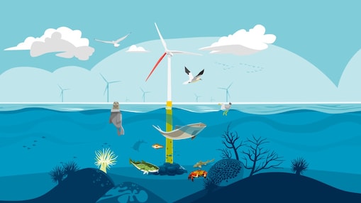 Grafische weergave Ecowende (Beeld: Ecowende)