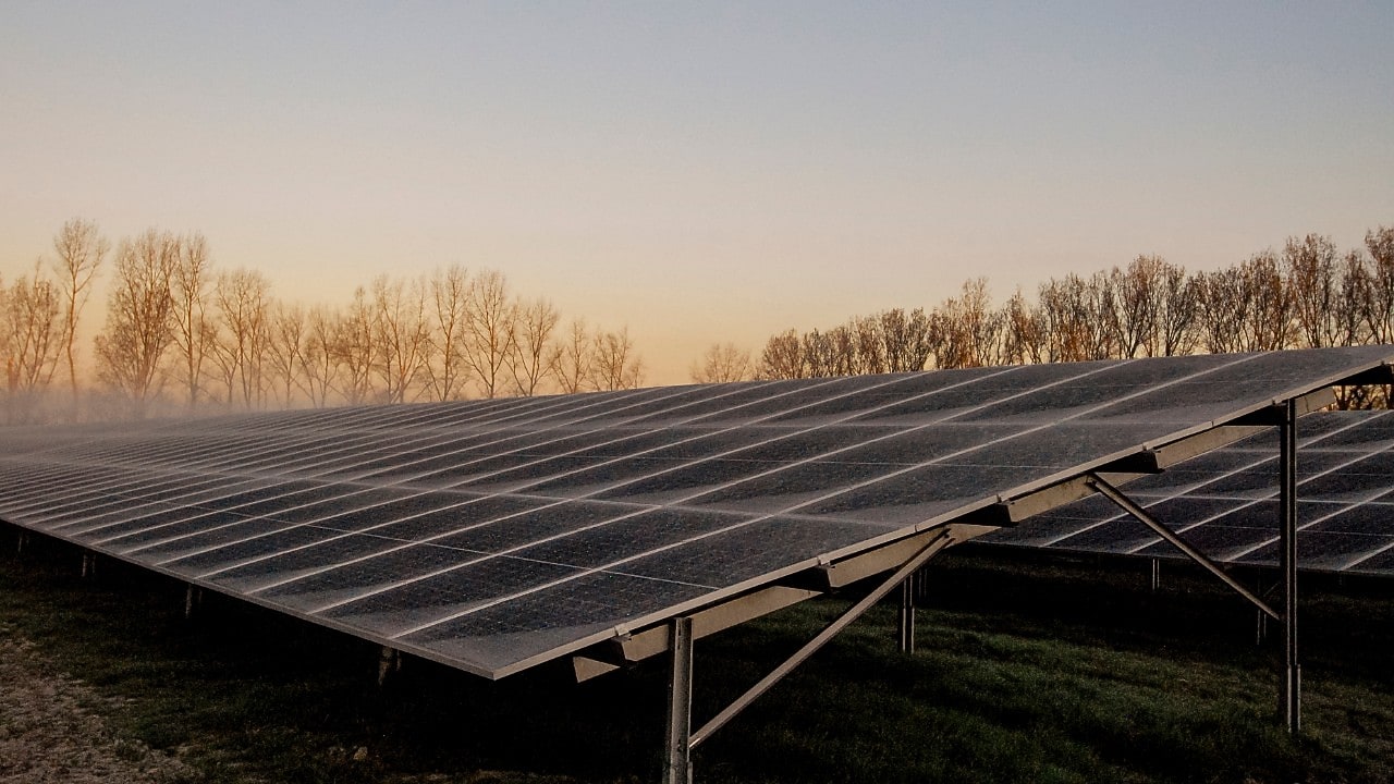 Zonnepark Sas van Gent-Zuid (Foto: Wendel Broere)