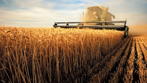 Een oogstmachine op het veld