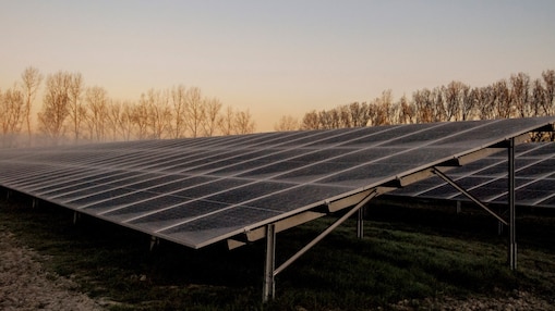 Zonnepark Sas van Gent in Zeeland (Foto: Wendel Broere)