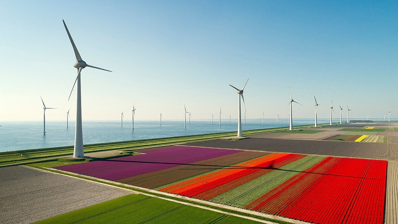 Windturbines op zee en op land