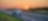 Trucks on a highway at sunset