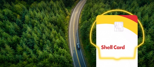Shell Card met pecten op een achtergrondfoto van een bocht in de weg in een bos.