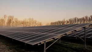 Zonnepanelen op zonnepark Sas van Gent-Zuid (Foto: Wendel Broere)