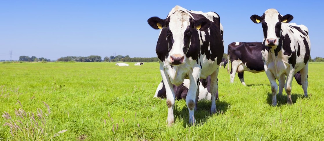 Verantwoorde producten