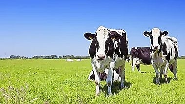 Verantwoorde producten