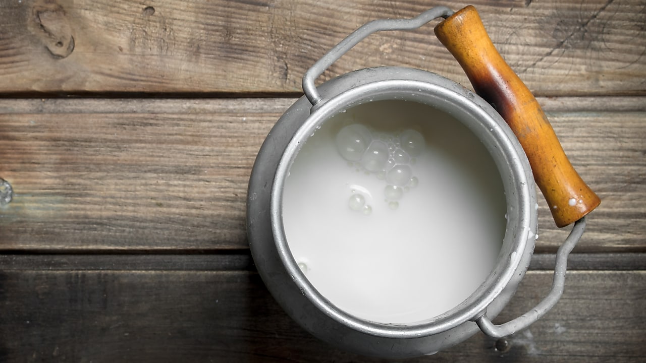 100% Noord-Hollandse weidemelk